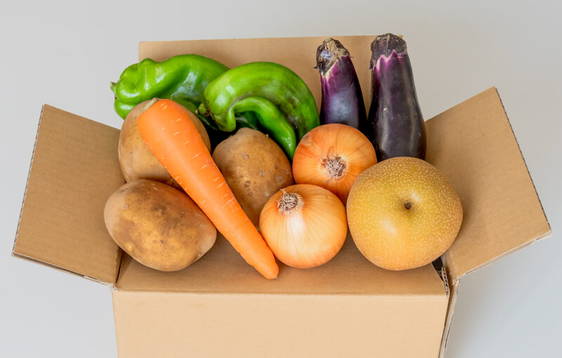 【Univ×SU】スタートアップ×大学の産学連携事例｜エクネス株式会社