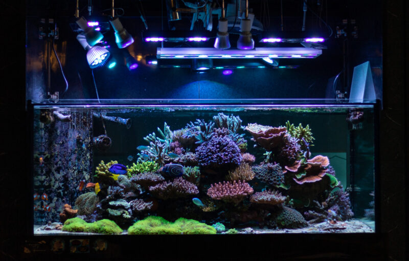 【Univ×SU】スタートアップ×大学の産学連携事例｜株式会社イノカ